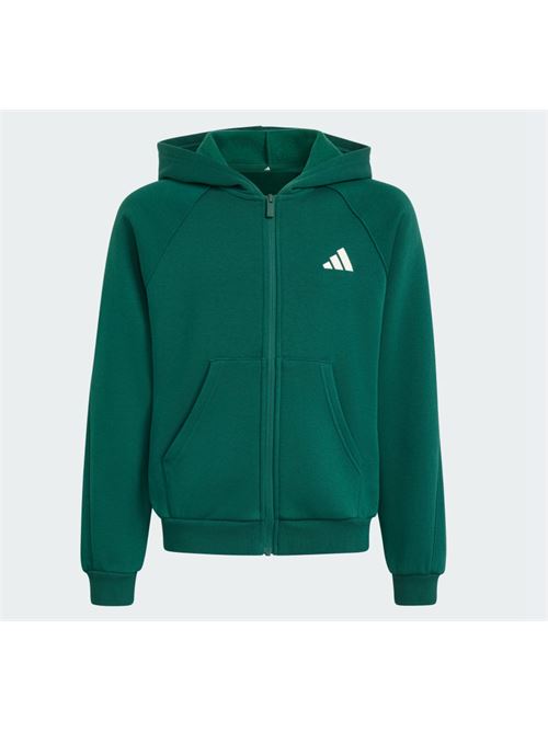 j clgt fz hd ADIDAS | KS5142CGREEN IVORY